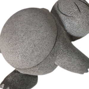 Molcajete Pokemon